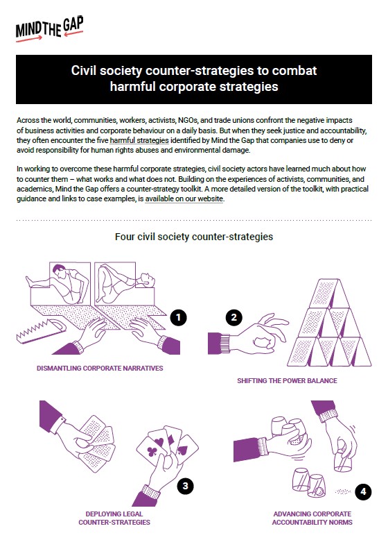 publication cover - Counter-strategies summary